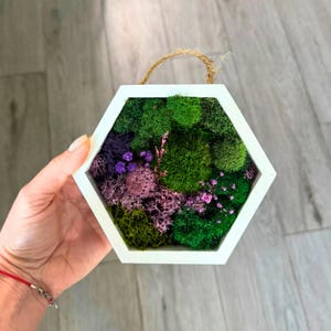 Hexagon Moss Wall Art with Pink & Purple Accents – Preserved Moss Frame | Botanical Decor | Eco Gift for Her | Floral Nature Hanging