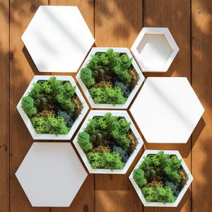 Honeycomb Moss Wall Art - Wood Hexagon Decor. Preserved Moss Art Framed, Wall Hangings, Housewarming Gifts, Living Room Decor