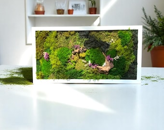 Horizontal Moss Wall Art – Framed Preserved Moss Panel | Biophilic Green Decor | Natural Botanical Wall Hanging | Eco Home Accent