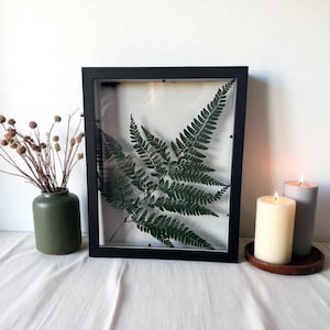 May include: A framed fern leaf in a black shadow box. The fern is a deep green color and is centered in the frame. A green vase with dried flowers and two lit candles are on either side of the frame.