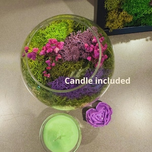 DIY Terrarium Kit with Candle – Moss & Dried Flower Glass Bowl | Unique Gift for Her or Him | Birthday Gift | Relaxing Nature Craft