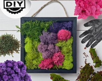 DIY Moss Wall Art Kit – Make Your Own Preserved Moss Frame | Easy Craft Kit with Colorful Moss, Tools & Instructions | Botanical Home Decor