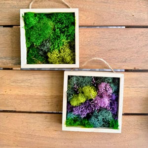 Square Moss Wall Art: Preserved Moss & Dried Florals in Wood Frame