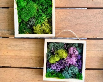 Square Moss Wall Art: Preserved Moss & Dried Florals in Wood Frame