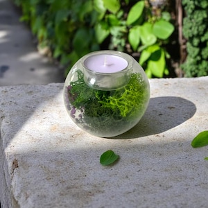 glass candle holder filled with preserved green moss, styled as a mini terrarium scene. Eco-friendly natural decor piece designed for tealight candles. Perfect as a rustic centerpiece, woodland inspired table decoration, or cozy accent for meditation space, living room, or bedroom. Unique sustainable gift for her, for nature lovers, or as eco-conscious home decor. Vibrant green moss creates a calming organic aesthetic.
