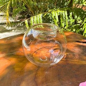 May include: A clear glass terrarium with a round base and a smaller, circular opening at the top. The terrarium sits on a brown wooden surface, with green foliage in the background. The glass is transparent, allowing a view of the interior.