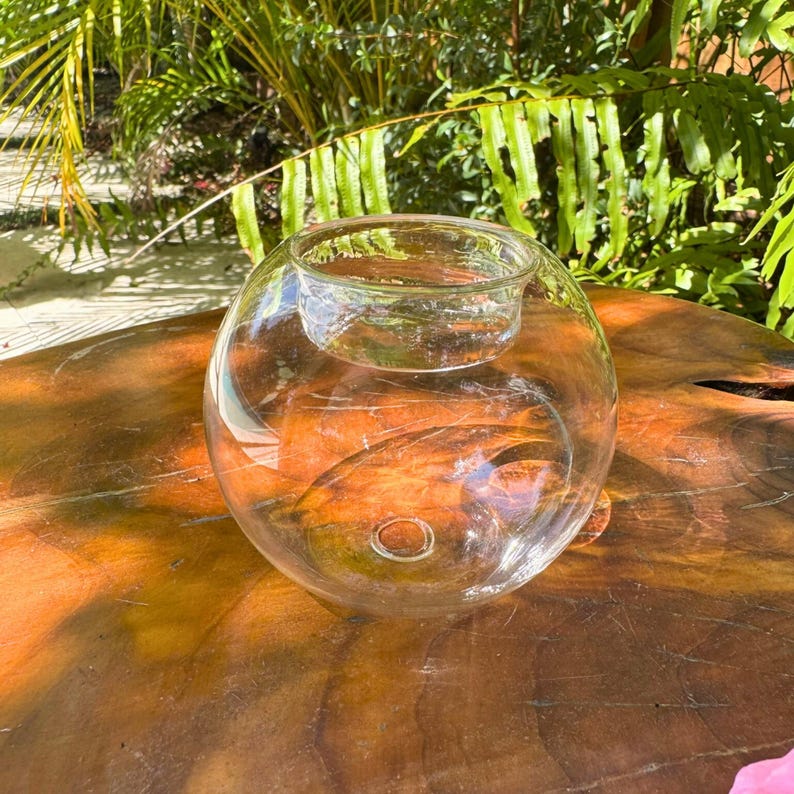 May include: A clear glass terrarium with a round base and a smaller, circular opening at the top. The terrarium sits on a brown wooden surface, with green foliage in the background. The glass is transparent, allowing a view of the interior.