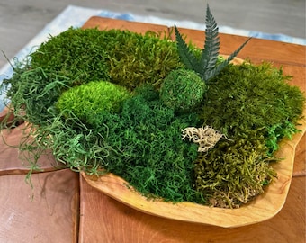 Modern moss bowl centerpiece with preserved greenery in a natural wooden dough bowl for Japandi, Scandinavian, boho eco-friendly home decor