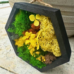 Sunny Hexagon Moss Art – Small Yellow & Green Preserved Moss Decor | Mini Botanical Wall Hanging | Handmade Eco Gift Idea