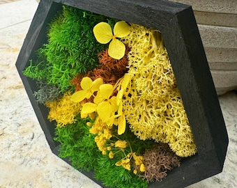 Sunny Hexagon Moss Art – Small Yellow & Green Preserved Moss Decor | Mini Botanical Wall Hanging | Handmade Eco Gift Idea