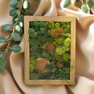 Eco Moss Wall Art with Wood Slices | Preserved Reindeer Moss Frame | Handmade Botanical Green Home Decor | Nature-Inspired Gift