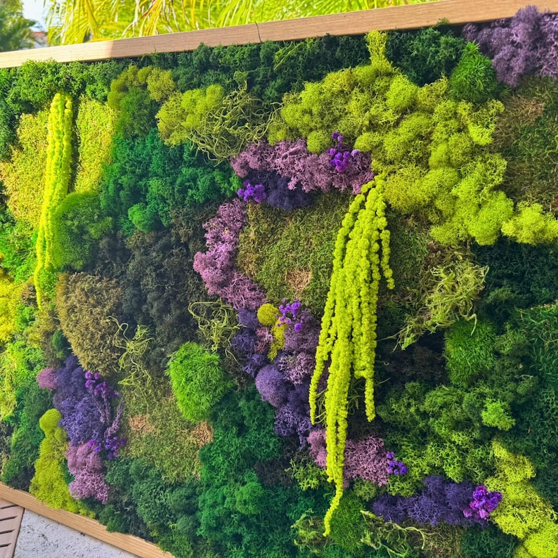 May include: A vibrant living wall display featuring a variety of mosses and plants in shades of green, purple, and yellow. The arrangement is framed in a natural wood border, creating a textured and colorful botanical composition.
