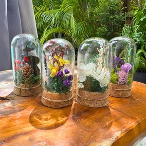 May include: Four glass cloches with cork bases, each containing a unique floral arrangement. The arrangements include red, yellow, and purple flowers, along with greenery and a pinecone. The cloches sit on a wooden surface.