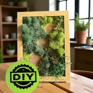 DIY Moss Wall Art Kit – Nature Craft Kit for Adults | Create Your Own Green Decor | Relaxing Handmade Project | Gift for Her or Him