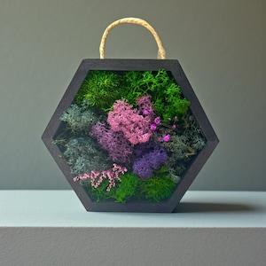 Hexagon Moss Wall Art with Pink & Purple Accents – Preserved Moss Frame | Botanical Decor | Eco Gift for Her | Floral Nature Hanging