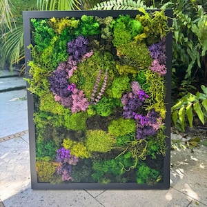 May include: A framed moss wall art piece with a variety of green mosses and purple and pink flowers.