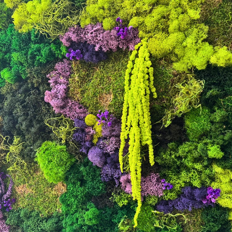 May include: A vibrant, textured wall display featuring a variety of mosses and plants. The arrangement includes shades of green, purple, and yellow, creating a natural and colorful aesthetic. The design incorporates different textures and shapes.