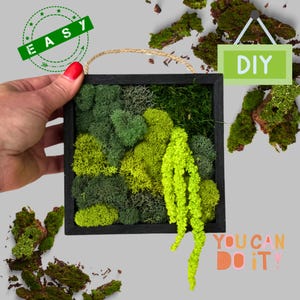 DIY Moss Art Kit – Unique Gift Box | Craft Kit for Her or Him | Nature-Inspired Activity | Birthday Gift | Mindful Home Decor Project