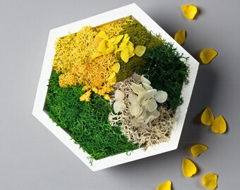 Yellow & Green Floral Moss Frame – Joyful Wall Accent for Living Room | Eco Botanical Wall Art | Handmade Nature Decor Gift
