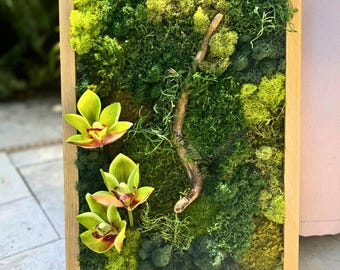 May include: A framed wall art piece featuring a vibrant display of green moss and three yellow-green orchids with red and yellow centers. A curved, brown branch adds a natural element to the design. The artwork is encased in a light brown wooden frame.