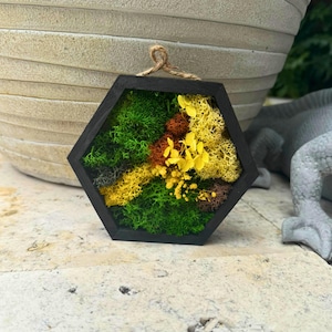 Mini Hexagon Moss Art – Yellow Preserved Moss Wall Decor | Small Botanical Hanging | Eco Gift for Her | Nature-Inspired Shelf Accent