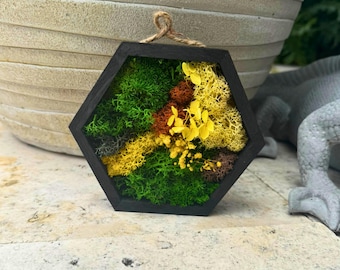 Mini Hexagon Moss Art – Yellow Preserved Moss Wall Decor | Small Botanical Hanging | Eco Gift for Her | Nature-Inspired Shelf Accent