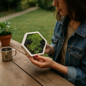 Honeycomb Moss Wall Art - Wood Hexagon Decor. Preserved Moss Art Framed, Wall Hangings, Housewarming Gifts, Living Room Decor  5 x 6 inch