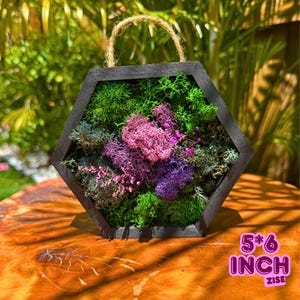 Hexagon Moss Wall Art with Pink & Purple Accents – Preserved Moss Frame | Botanical Decor | Eco Gift for Her | Floral Nature Hanging