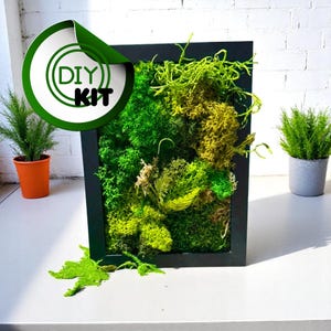 DIY Moss Art Kit – Unique Gift Box | Craft Kit for Her or Him | Nature-Inspired Activity | Birthday Gift | Mindful Home Decor Project