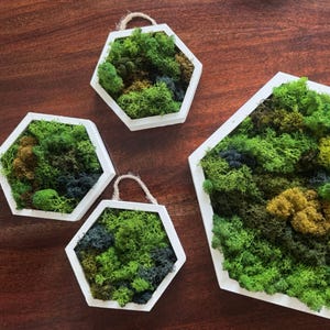 Honeycomb Moss Wall Art - Wood Hexagon Decor. Preserved Moss Art Framed, Wall Hangings, Housewarming Gifts, Living Room Decor