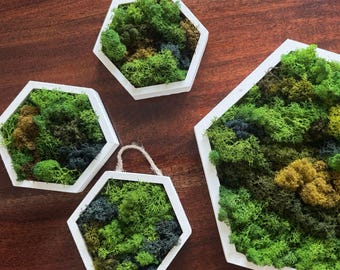 Honeycomb Moss Wall Art - Wood Hexagon Decor. Preserved Moss Art Framed, Wall Hangings, Housewarming Gifts, Living Room Decor
