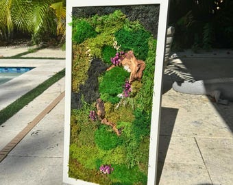 Moss Wall Art, Preserved Moss Art, Botanical Wall Art, Wood Frame Sets, Cottagecore Wall Display, Natural Forest and Jungle Style Moss Art