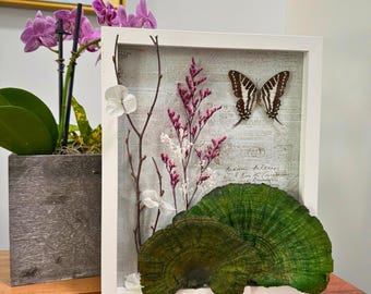 Modern Botanical Wall Display with Butterfly &  Green Mushroom 3D Decor, Contemporary Home Accent