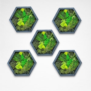 Honeycomb Moss Wall Art - Wood Hexagon Decor. Preserved Moss Art Framed, Wall Hangings, Housewarming Gifts, Living Room Decor