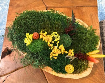 Fall moss bowl centerpiece with preserved greenery in a natural wooden dough bowl for Japandi, Scandinavian, boho eco-friendly home decor