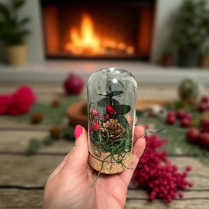 May include: A glass cloche terrarium with a cork base, containing a pinecone, greenery, and red berries. The clear dome showcases the natural elements, creating a decorative display. The background features a fireplace.