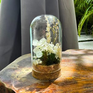 May include: A glass cloche with a cork base, showcasing a miniature floral arrangement. The arrangement features white flowers, green moss, and dried stems. The cloche sits on a wooden surface, creating a decorative display.