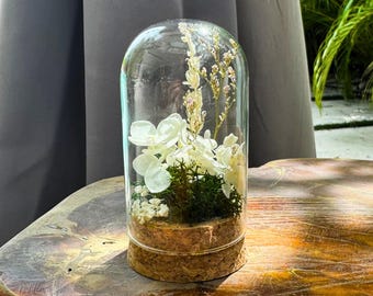 White Blossom Terrarium  — Minimalist Preserved Flower Cloche with Moss, Modern Neutral Home Accent, Tiny Glass Dome Arrangement