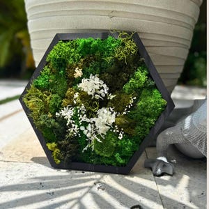 Hexagon Moss Wall Art with White Flowers | Preserved Moss Decor | Botanical Gift | Eco-Friendly Natural Wall Accent | Zen Greenery Art
