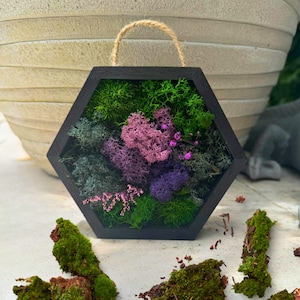 May include: A black, hexagonal wooden frame filled with various shades of green, purple, and pink moss and dried flowers. A natural jute rope is attached for hanging. The moss arrangement is a decorative piece.