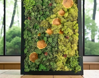 Rustic Woodland Moss Art Frame – Natural Forest Wall Art with Wood Slices and Pinecones