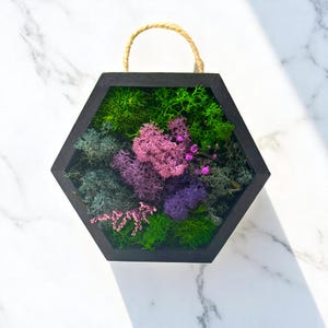 Hexagon Moss Wall Art with Pink & Purple Accents – Preserved Moss Frame | Botanical Decor | Eco Gift for Her | Floral Nature Hanging