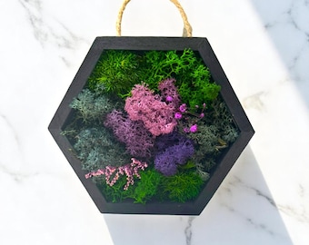 Hexagon Moss Wall Art with Pink & Purple Accents – Preserved Moss Frame | Botanical Decor | Eco Gift for Her | Floral Nature Hanging