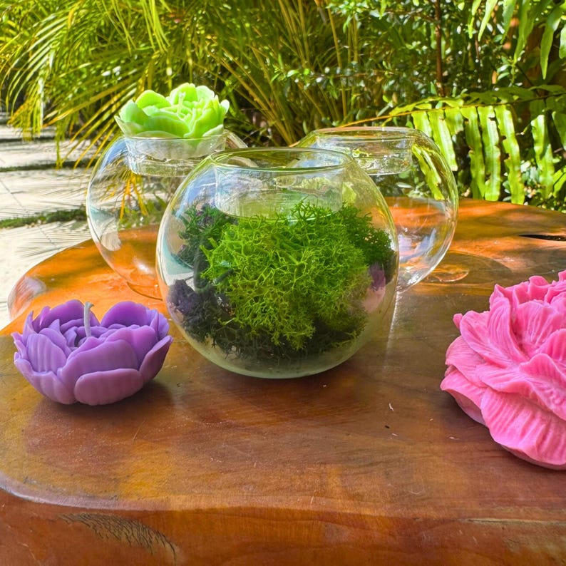 May include: A wooden table displays three glass terrariums with greenery and two flower-shaped candles. One candle is purple, the other is pink. The terrariums contain green moss and a green flower-shaped candle.