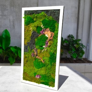 Moss Wall Art | Preserved Moss Art Framed | Moss Wall Decor | Moss Wall Sets | Rectangle Single to Three Set | Green Reindeer Moss Pole Moss