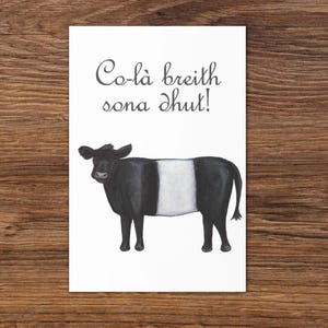 feliz aniversário! | co-là breith sona dhut! (gaélico escocês) com vaca Galloway com cinto Cartão de felicitações