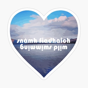 May include: A heart-shaped sticker with a blue sky and white clouds. The text "snámh fiadhaich  buíonwúims p111m" is written in white on the sticker.