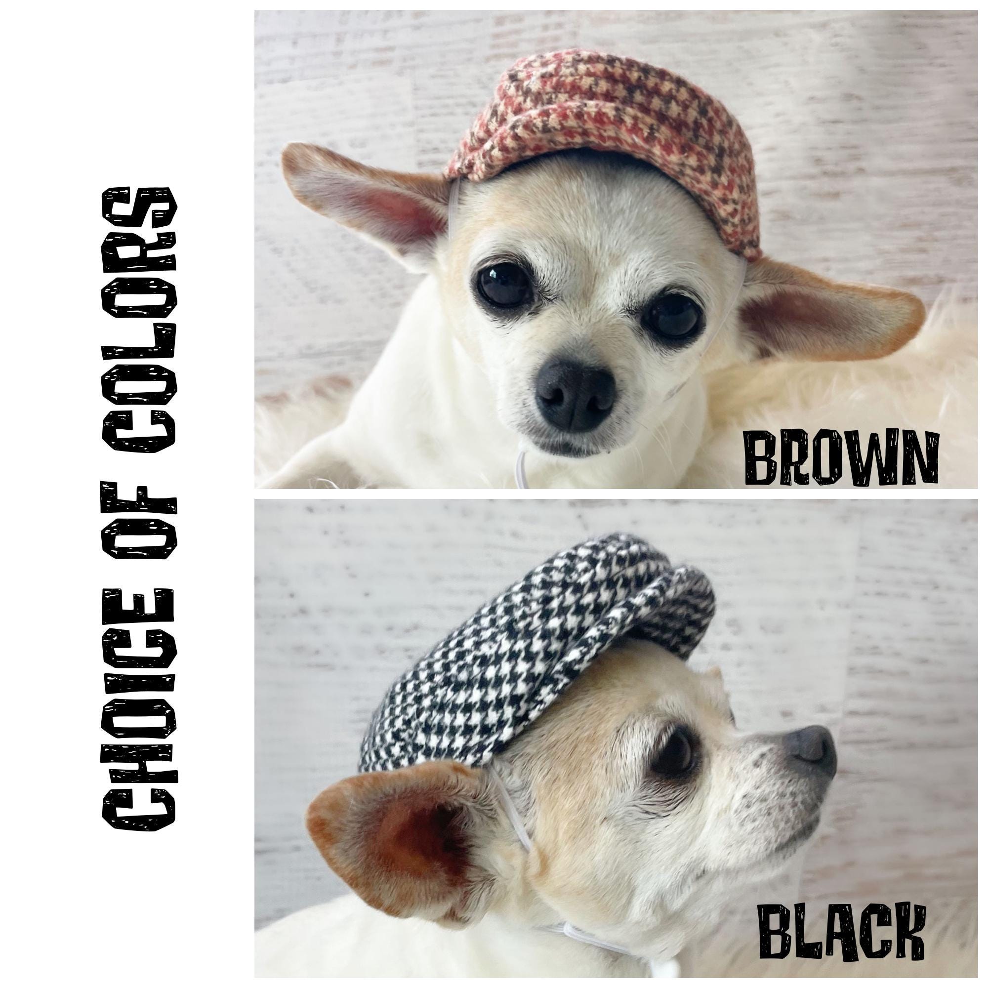 Handmade Dog Newsboy Hat - Small Pet Fashion, USA Made - Etsy Israel