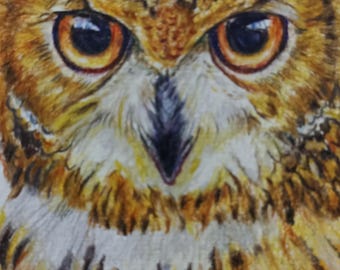 Original Owl Watercolor Pencil Drawing,A5 Realistic Bird Art, Hand Painted Animal Illustration, Nature Lover Gift,Watercolor Pencils Artwork