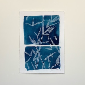 Bamboo Cyanotype Print-Cyanotype Print-sun print, hand drawn print, 5&quot;x7&quot;, cyanotype print, monotype